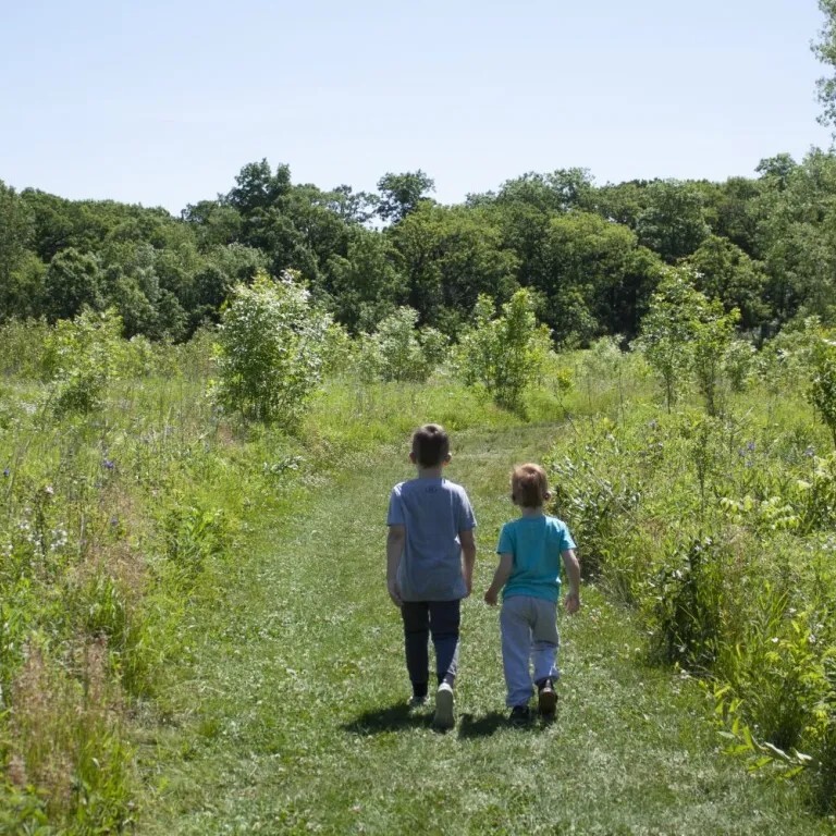 Mellody Farm Nature Preserve Walk - logo